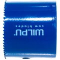 3105100101-wilpu-4