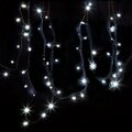 315-155-neon-night