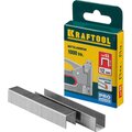 31670-12-kraftool