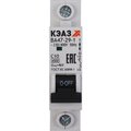 318195-keaz-2