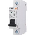 318196-keaz4