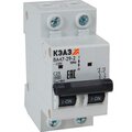 318229-keaz