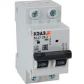 318243-keaz