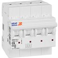326819-keaz