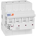 326821-keaz