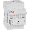329521-keaz