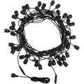 331-231-neon-night