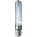 3634599-bellight