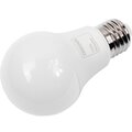 38025-feron-(2)