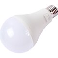 38043-feron-(2)