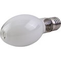 382023100-lisma-2