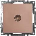 39600-feron2