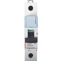 407264-legrand-(2)