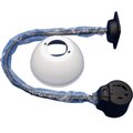 40739-transvit