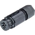 41-031-3053-1-wieland-electric-gmbh