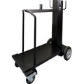 41593-fubag