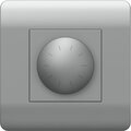 431445-chint