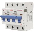 484416-akel