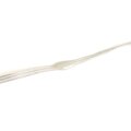 48604-feron