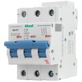 491304-akel
