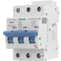 493306-akel2