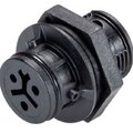 4l-031-4053-1-wieland-electric-gmbh