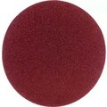50000195-flexione