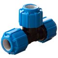50050032-politek