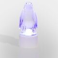 501-052-neon-night