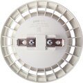 5017962-jazzway-(3)