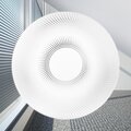 5024724-jazzway-3