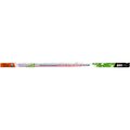 5025950-jazzway-2