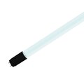 5030824-jazzway