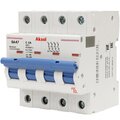 503406-akel
