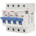 503440-akel