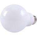5038479-faza-(2)