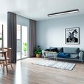 5051911-jazzway-8