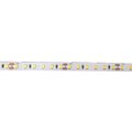5055803-jazzway-2