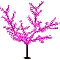 531-106-neon-night