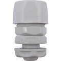 55110-dkc-(3)