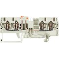 56-703-5555-0-wieland-electric-gmbh