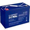 600-12-100s-etalon-battery