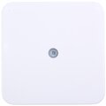 65005-ruvinil-(2)