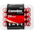 6752-camelion2