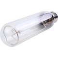 71711504-bellight-2