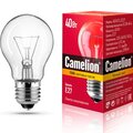 7276-camelion3