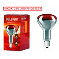 82040666-bellight