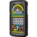 82990-ermenrich