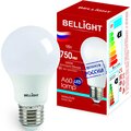 86363996-bellight
