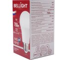 88297786-bellight-(3)